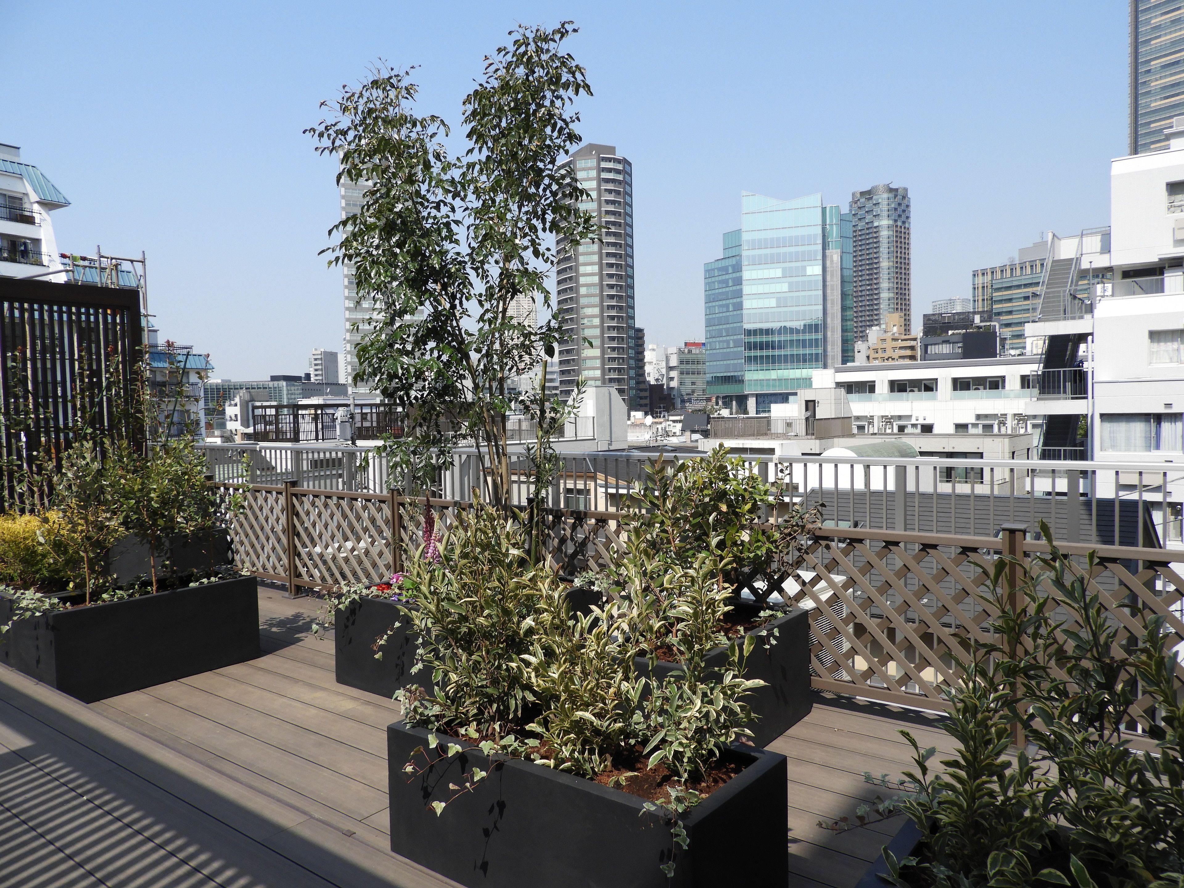 Act Hotel Roppongi — Zdjęcia 3